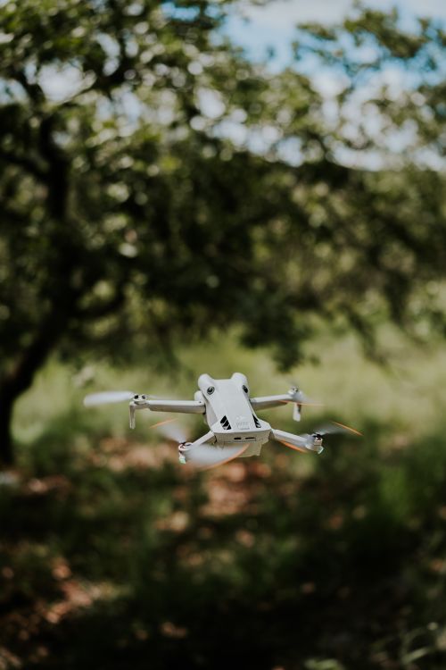 Free Drone flying amidst a lush forest showcasing technology in nature. Stock Photo