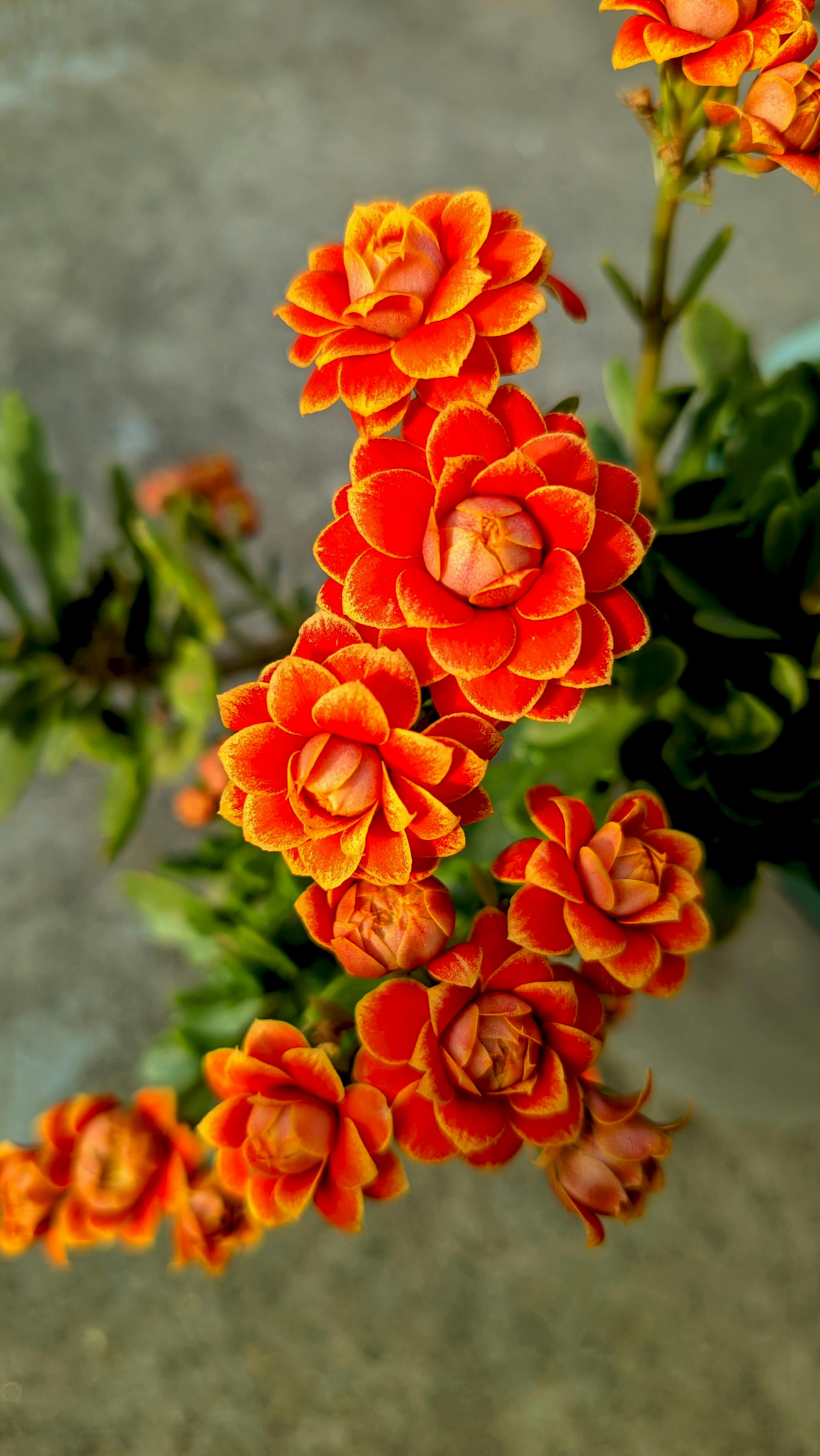 Full+Frontal+Standing+Nude Photos, Download The BEST Free Full+Frontal