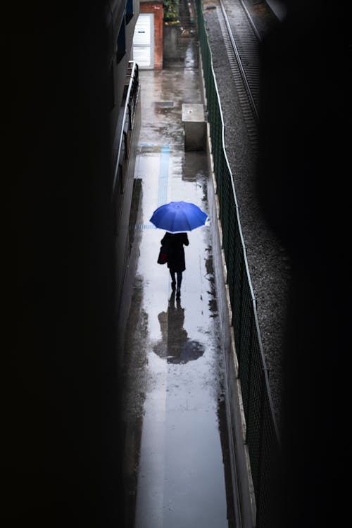 Gratis stockfoto met achteraanzicht, blauwe paraplu, druilerige dag