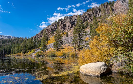 Mammoth Lakes, United States photo 22