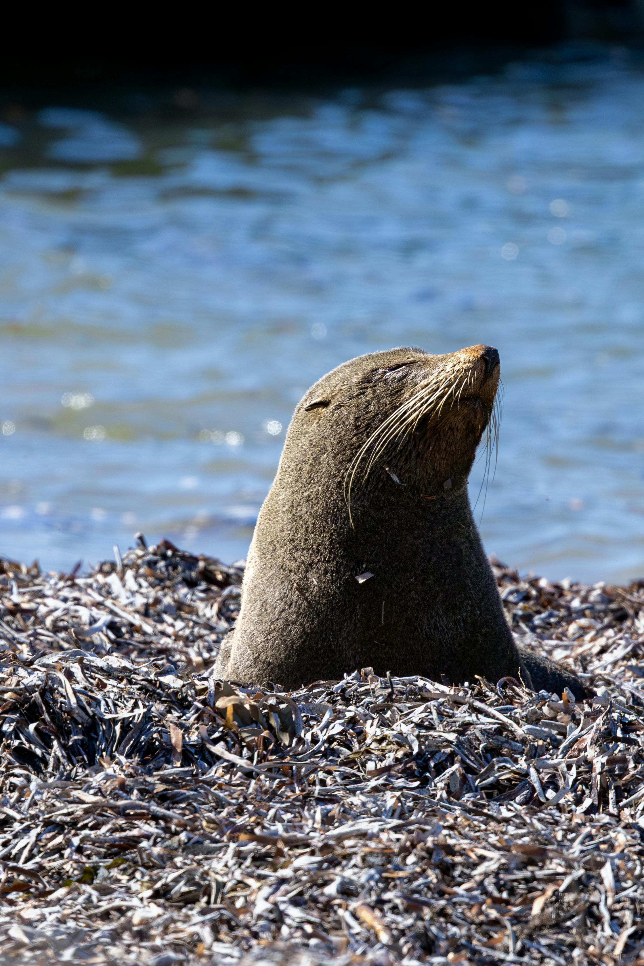 Pam+Bondi+Bikini+Pictures+ Photos, Download The BEST Free Pam+Bondi ...