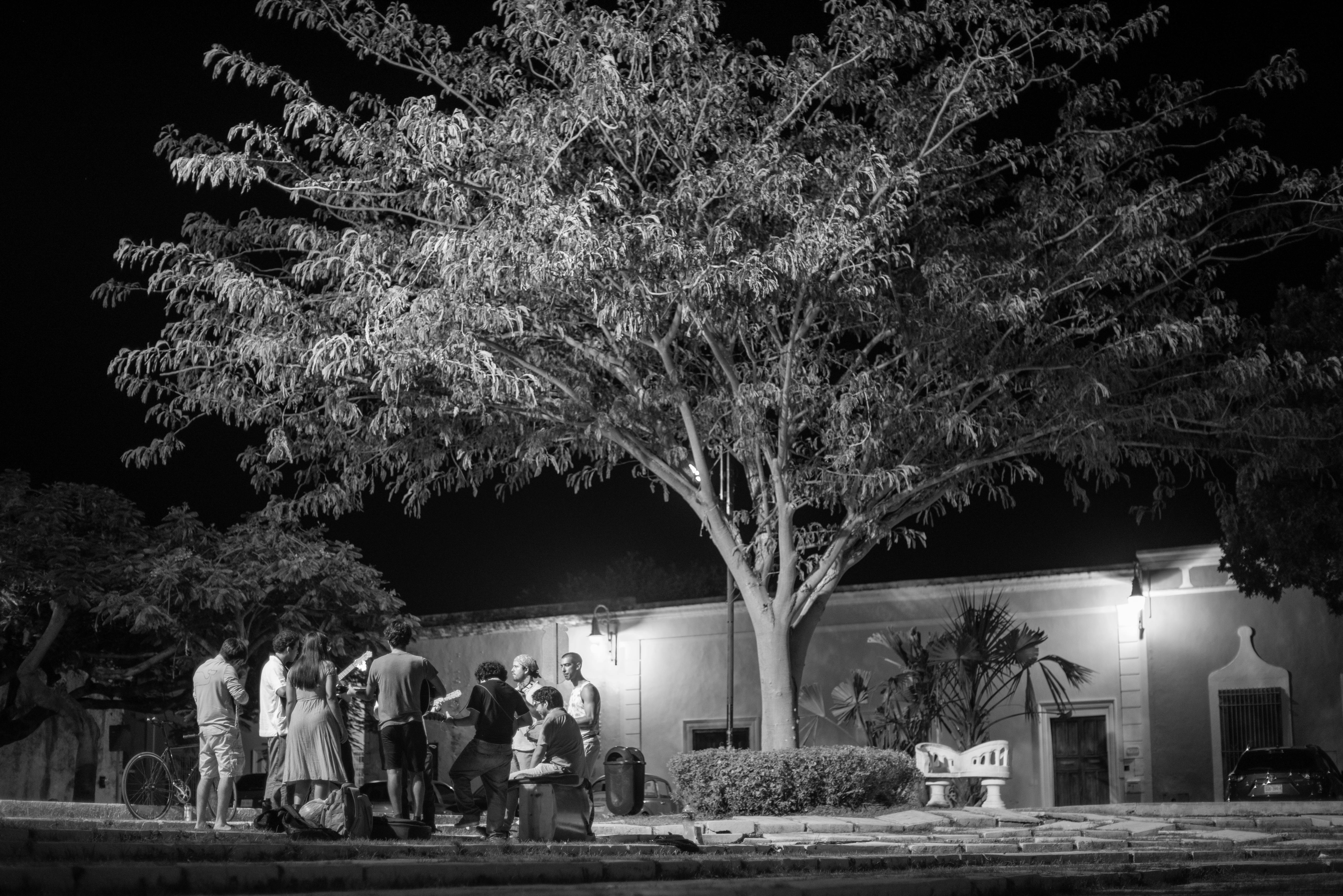 Black and white photo of people gathering under a large tree at night in an urban area.