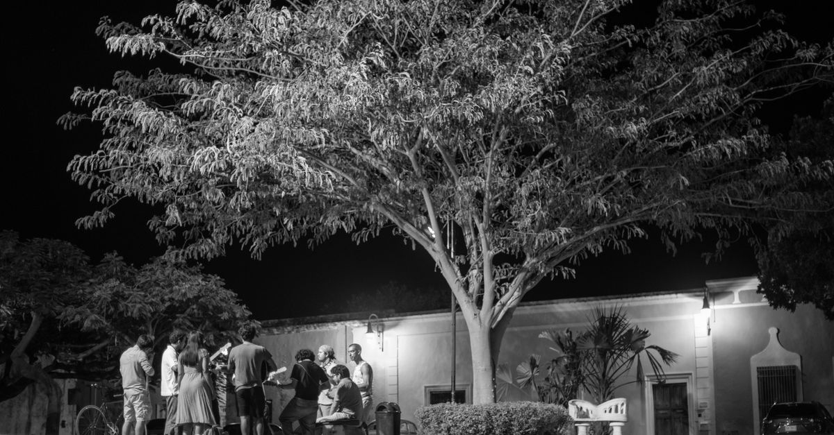 people socializing under a tree at loveworld arena community space