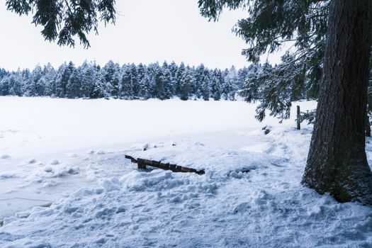 Snow-covered Étang de la Gruère landscape, capturing winter's calm beauty.