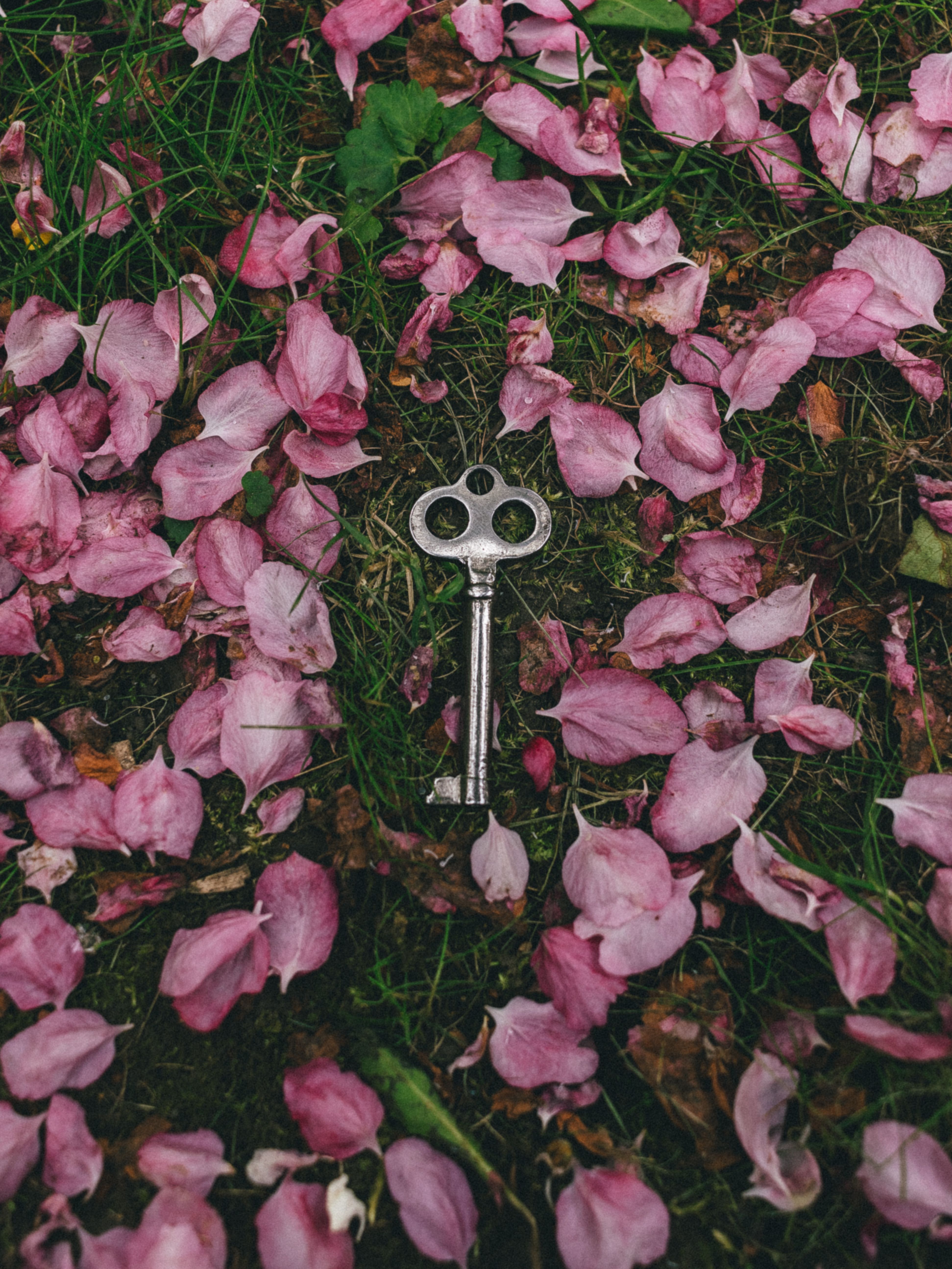 Keys Pink Photos, Download The BEST Free Keys Pink Stock Photos & HD Images