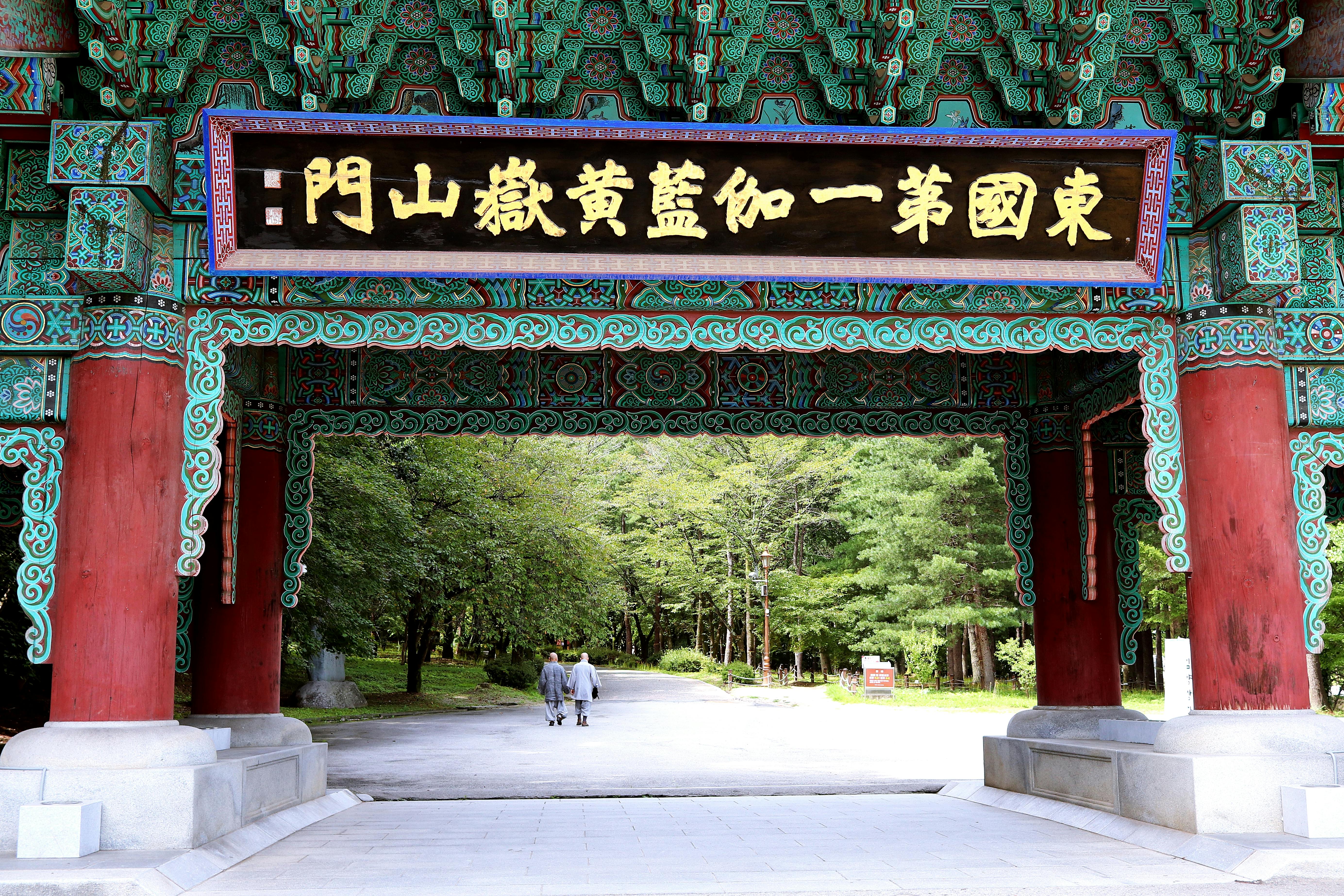 Beautiful Korean temple gate with intricate designs and lush forest backdrop.