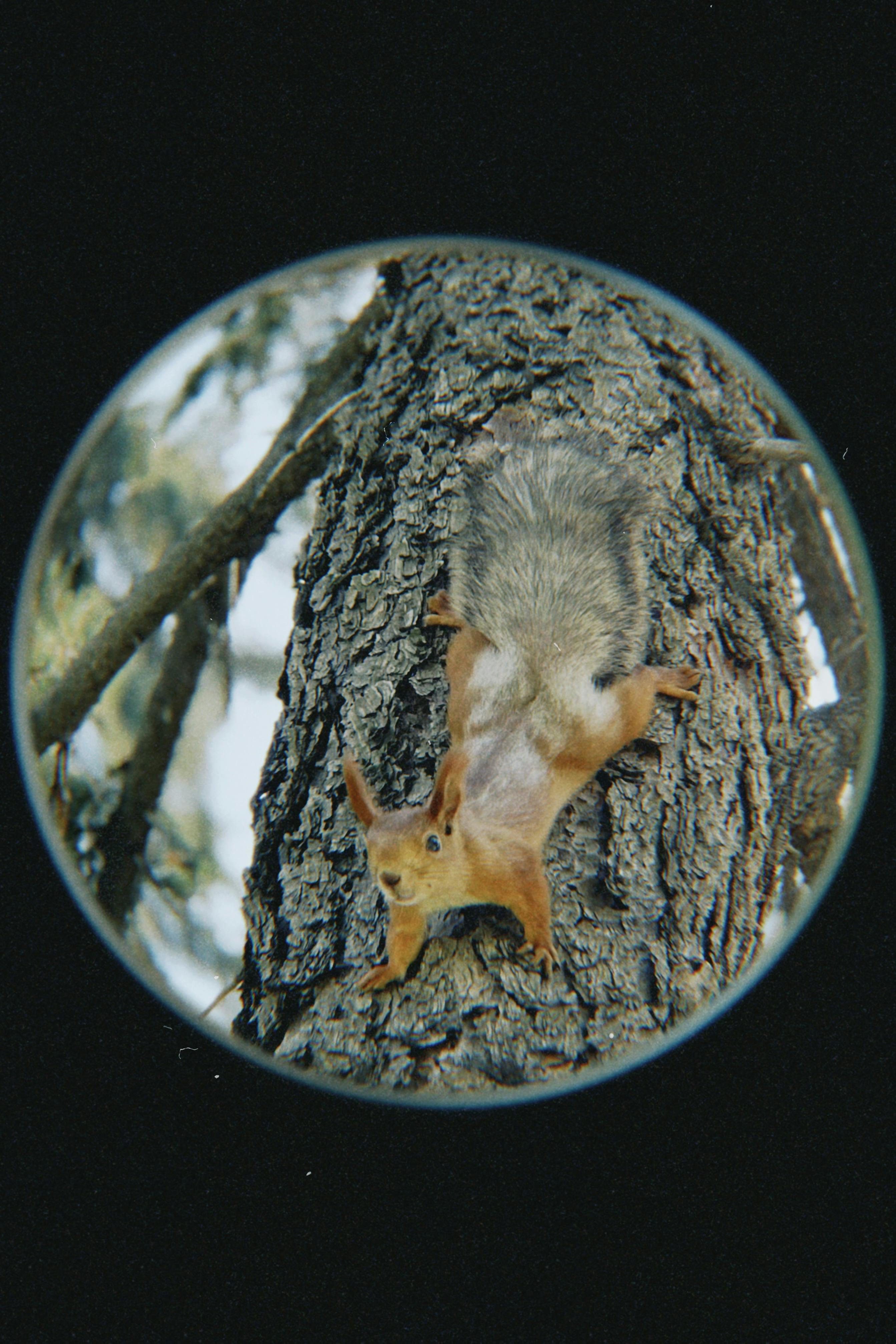 Self+Shot+Naked+Teen Photos, Download The BEST Free Self+Shot+Naked