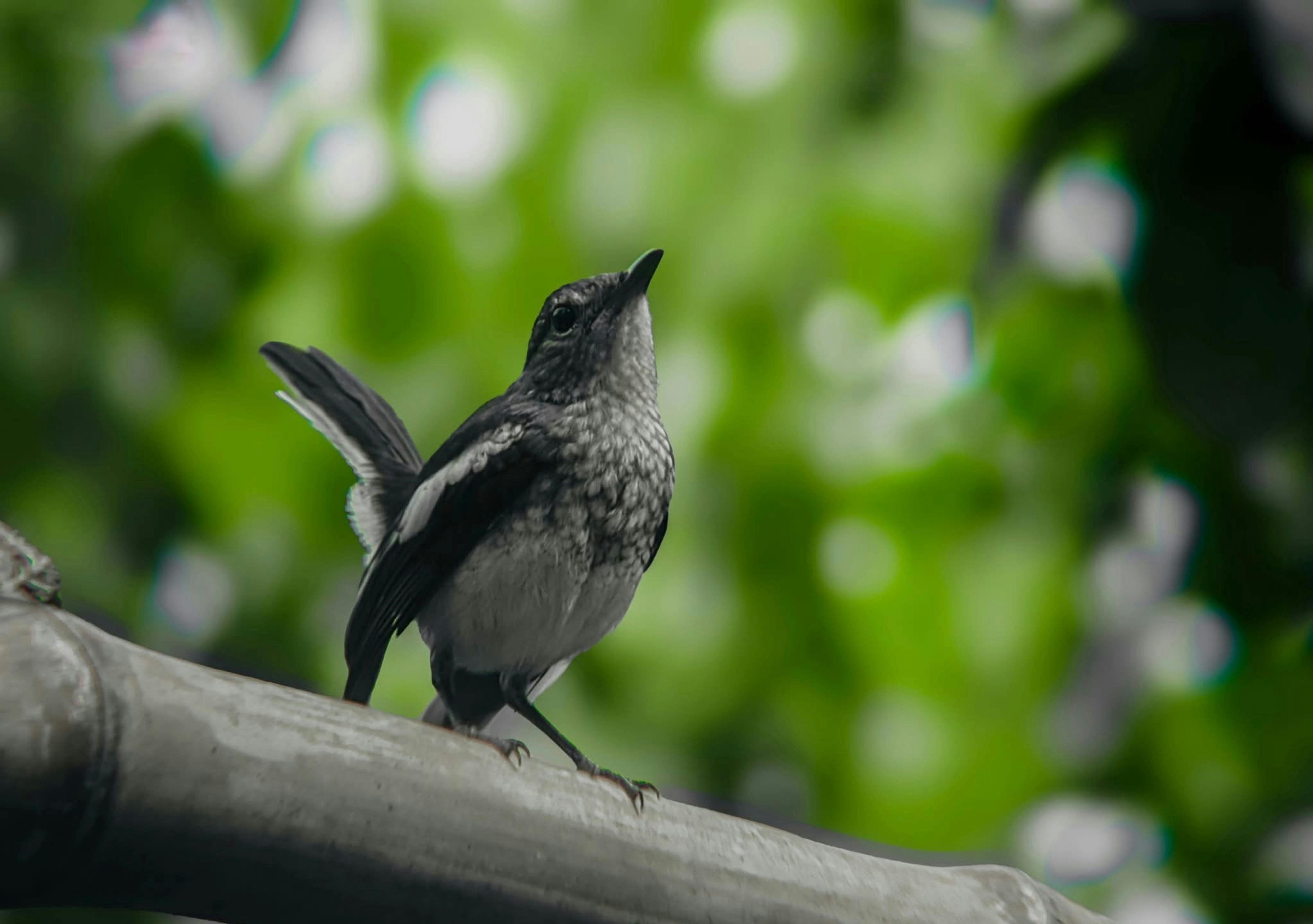 Photos+الأخبار+العاجلة Photos, Download The BEST Free Photos+الأخبار ...