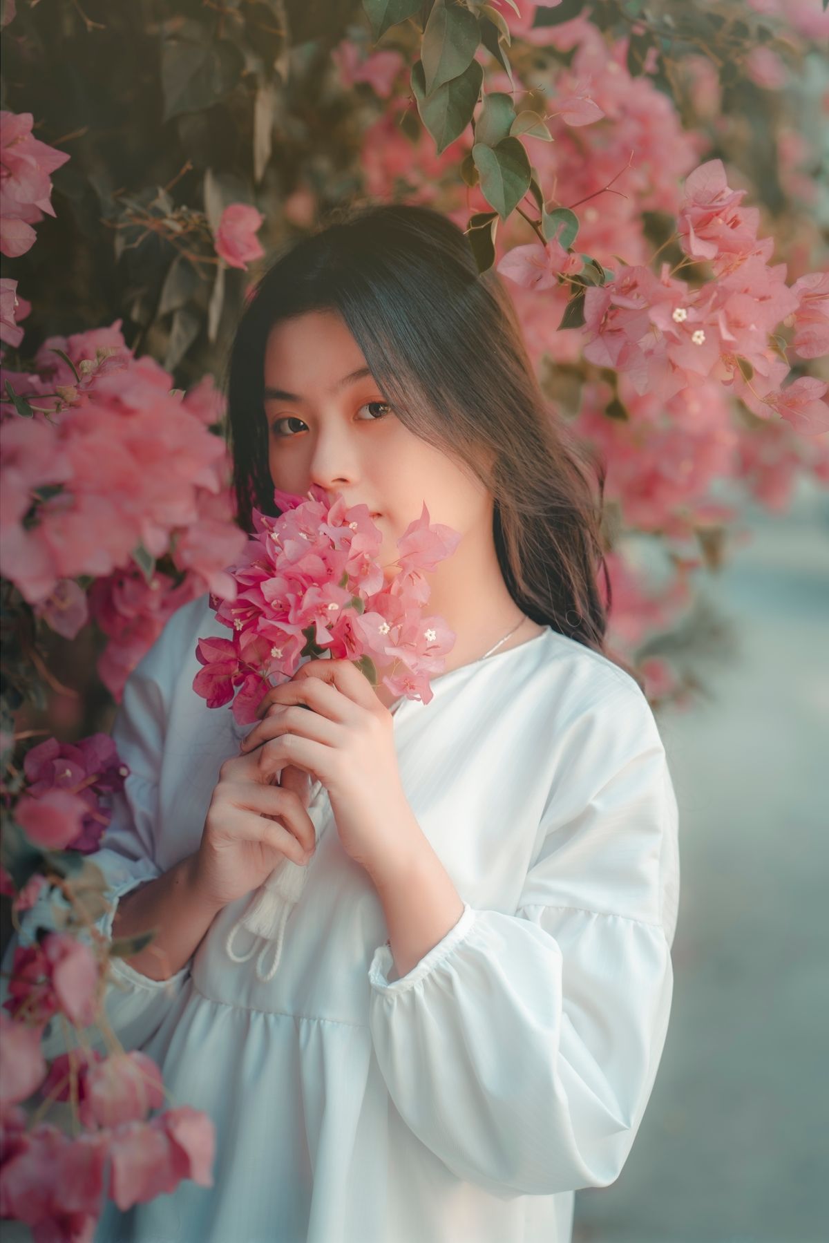 Woman in White Shirt Holding Pink Flowers · Free Stock Photo