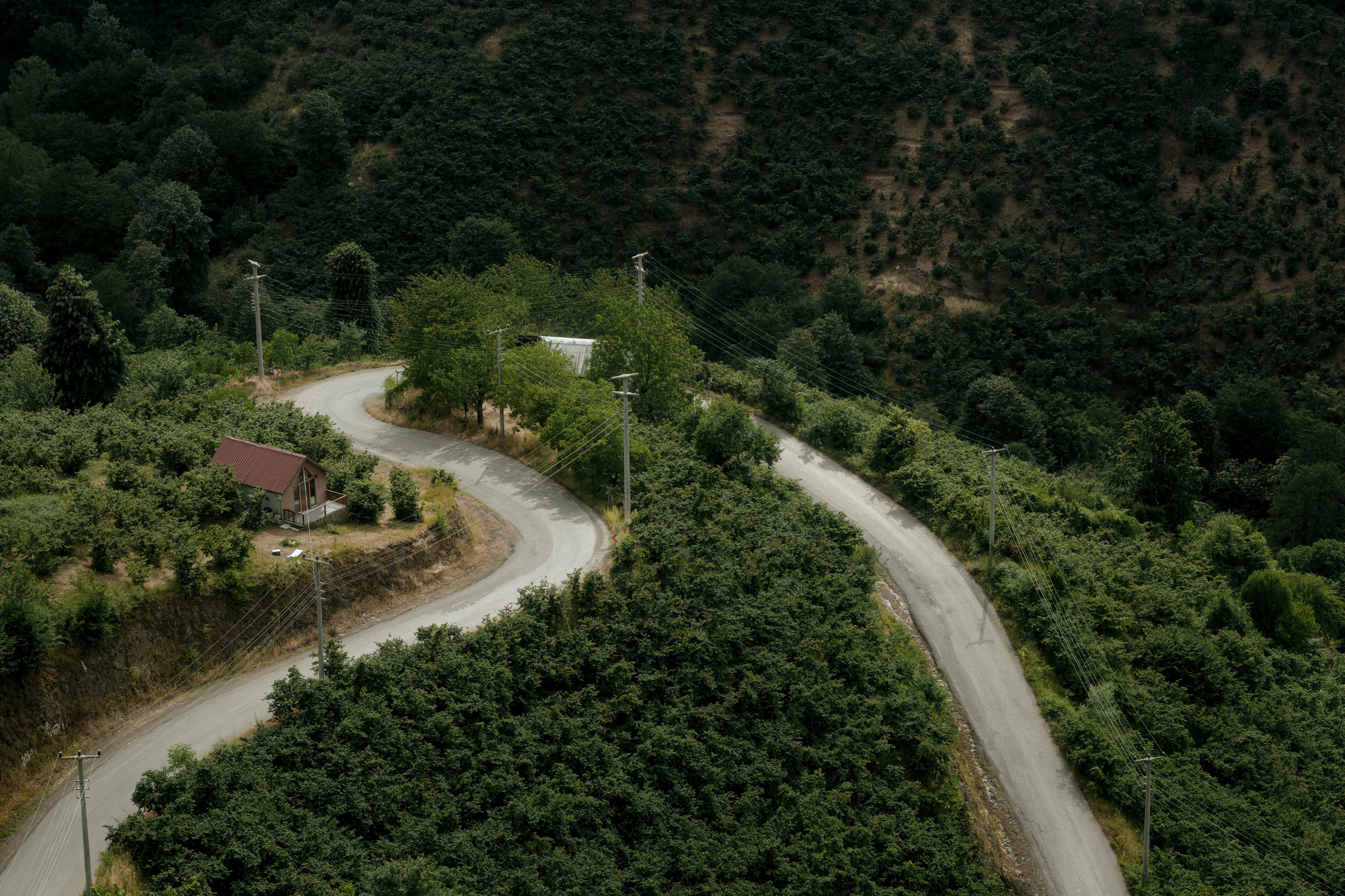 財經：尹崇堯：Gogoro第4季將進軍越南市場，推動一變十策略