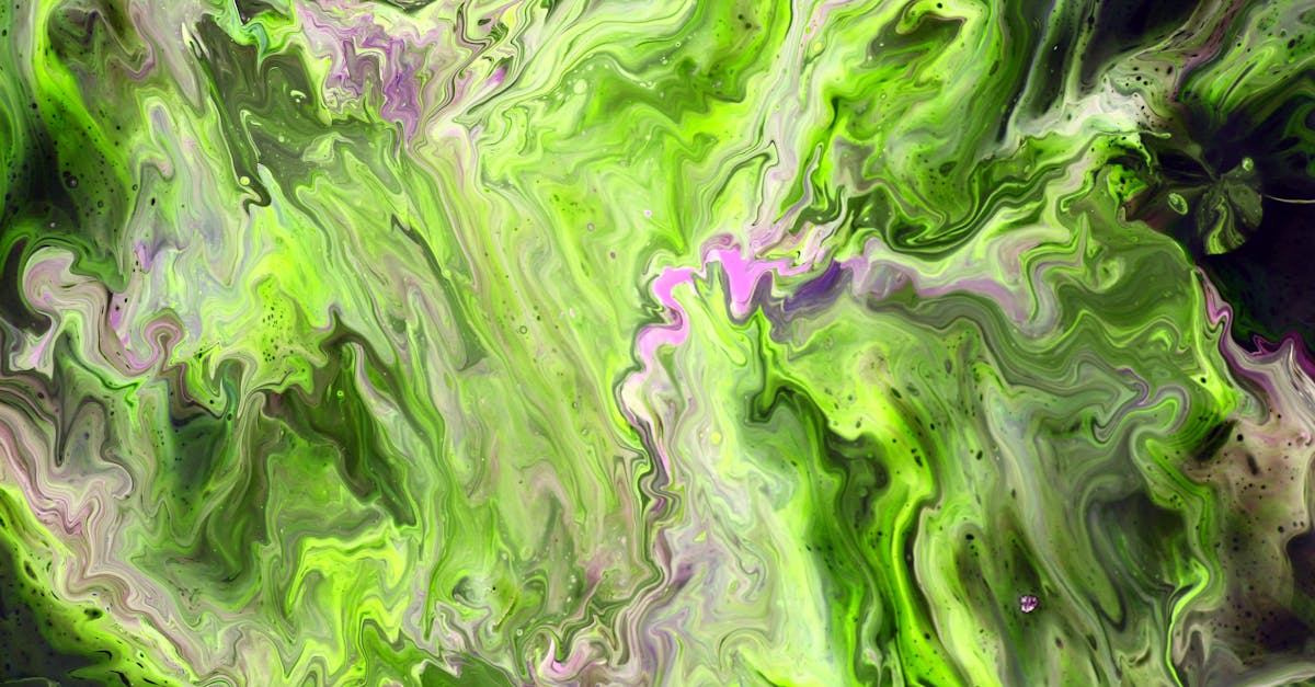 赦免爭議升溫,巴西前總統波索納洛引爆政治風暴