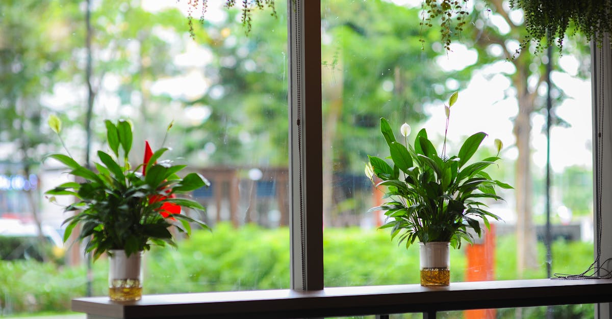 以設計與選品為競爭力,打造獨特生活風格品牌