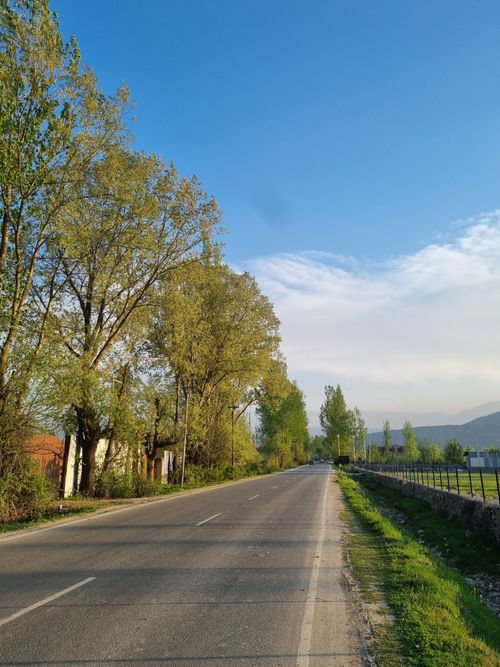 Free A serene country road with vibrant green trees under a clear blue sky, perfect for travel and nature themes. Stock Photo