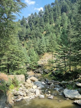 Lush green forest with a tranquil river flowing through rocky terrain.