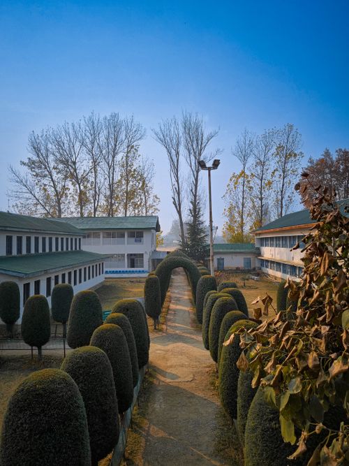 Free Serene view of a courtyard with neatly trimmed bushes and a central pathway leading between buildings. Stock Photo