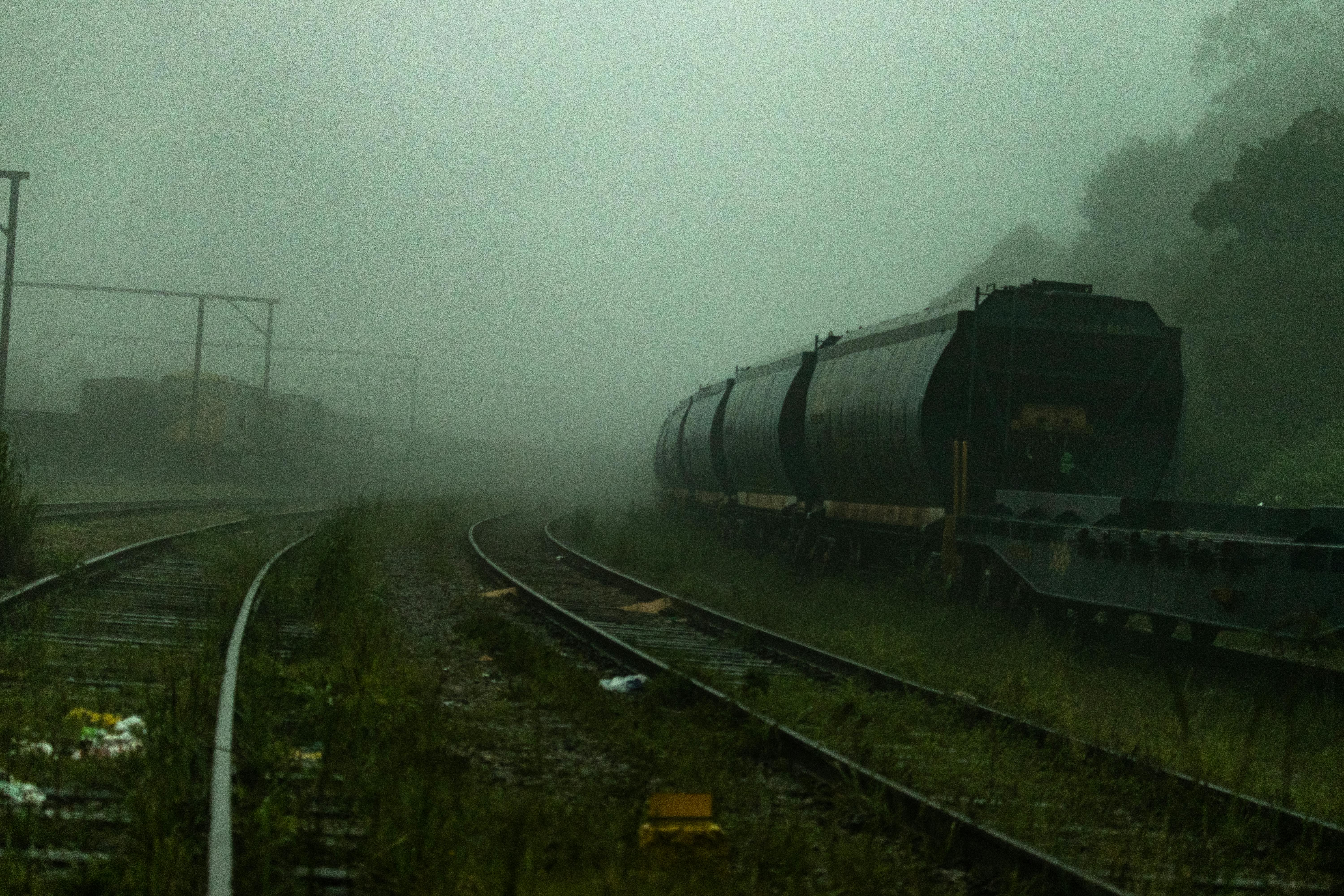 传统茶道中的普洱茶冲泡
