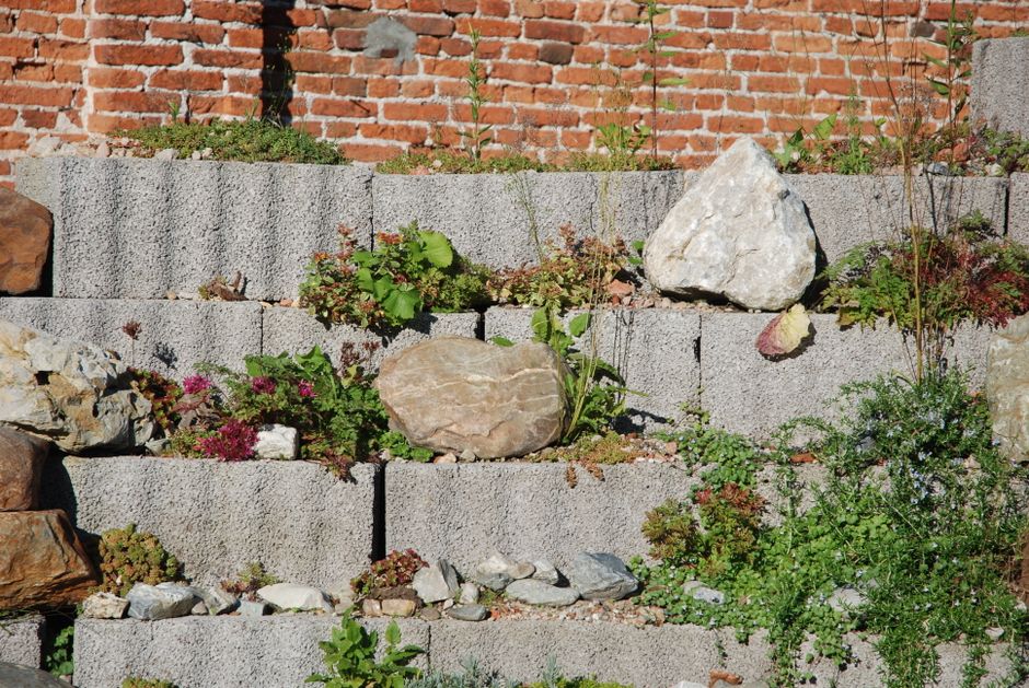 Retaining wall replacement cost breakdown — step-by-step reference media