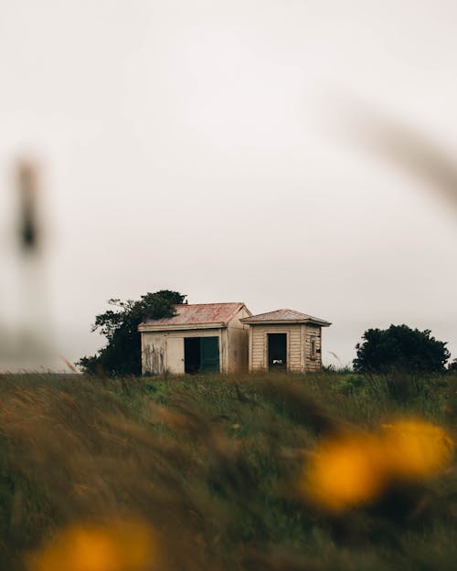 Foto d'estoc gratuïta de a l'aire lliure, a pagès, abandonat