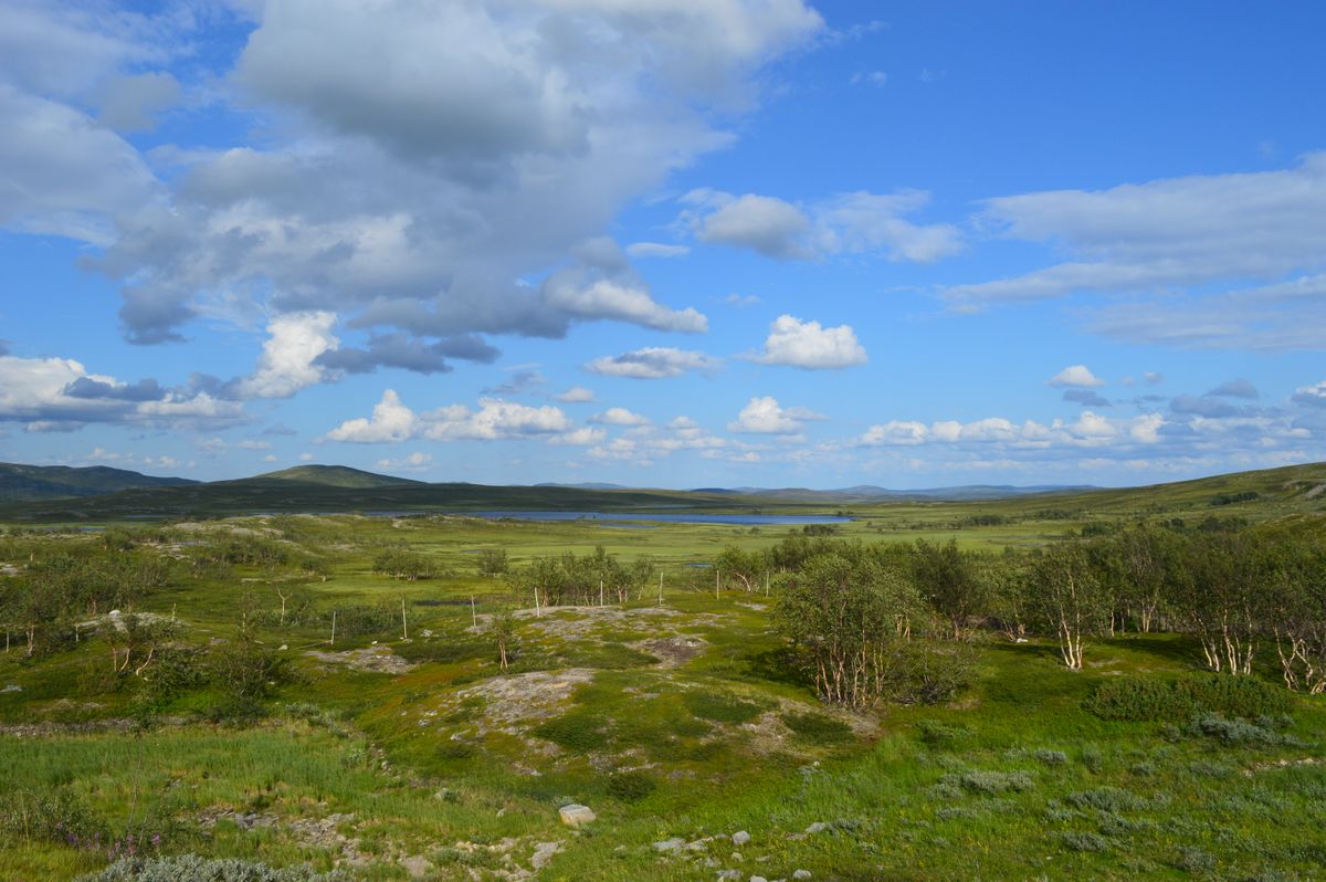 Campii vaste de tundra cu munti si cer viu