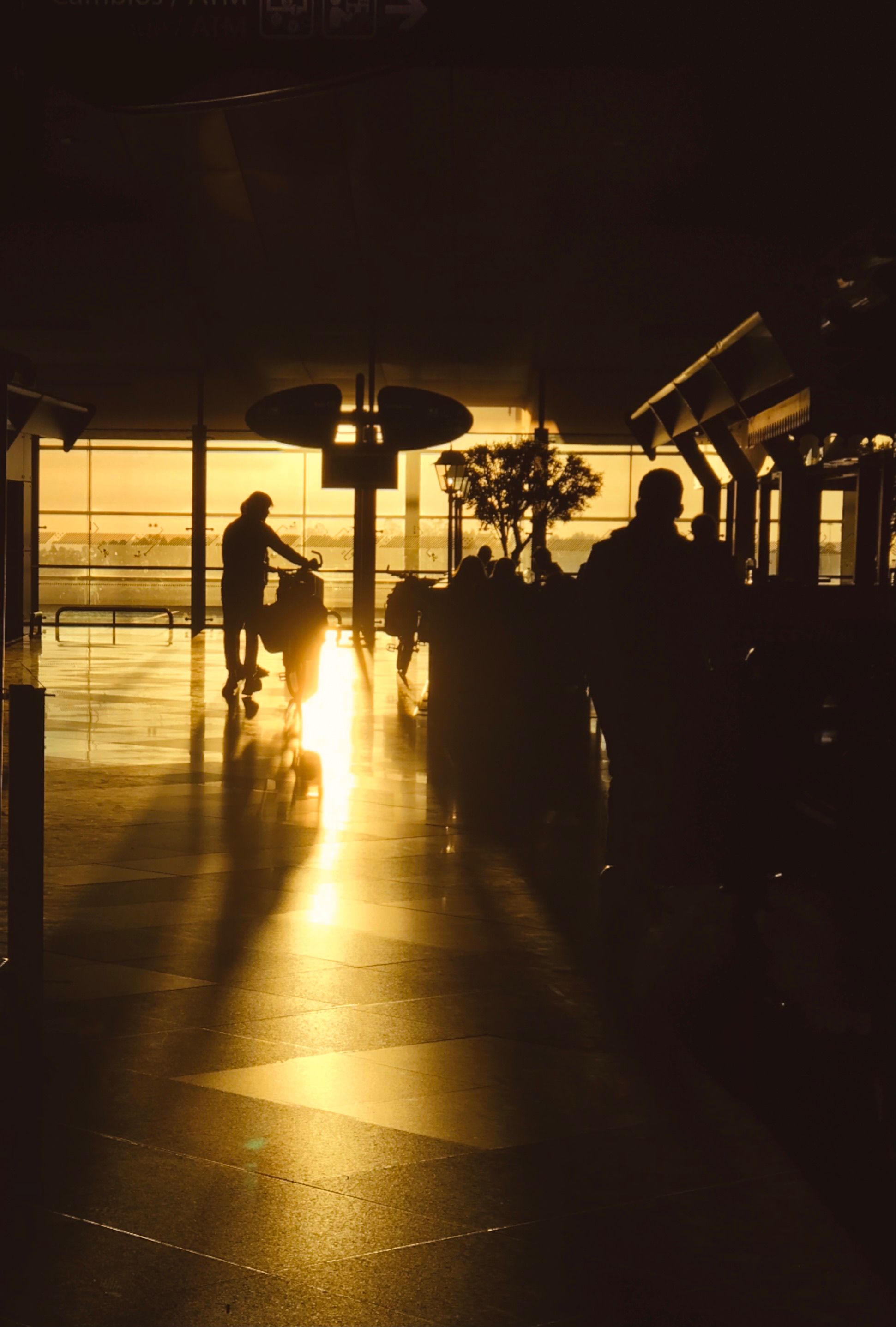 Travelers at golden hour