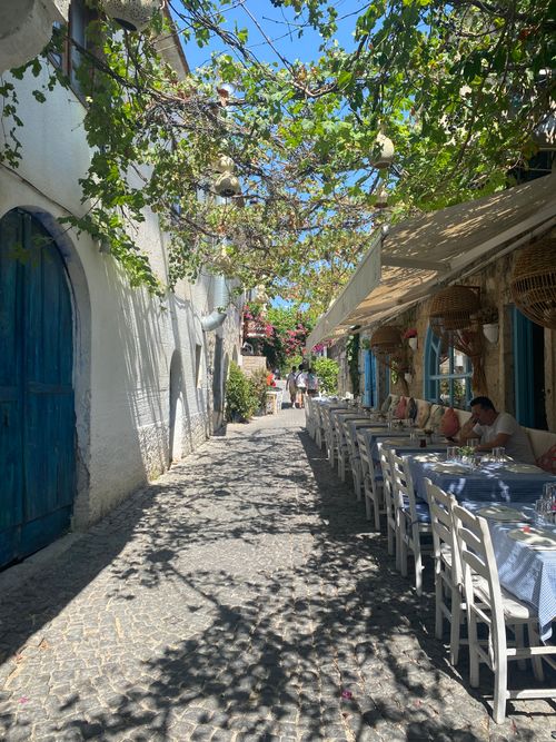 Free Picturesque alley with vine-covered canopy, outdoor dining on a sunny Mediterranean day. Stock Photo