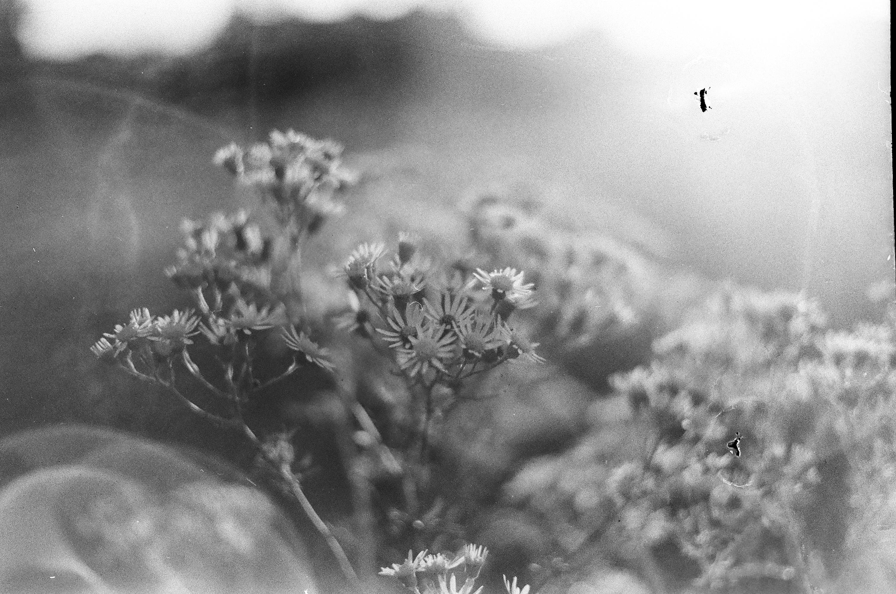 matrix film 22025 ile ilgili görsel 7