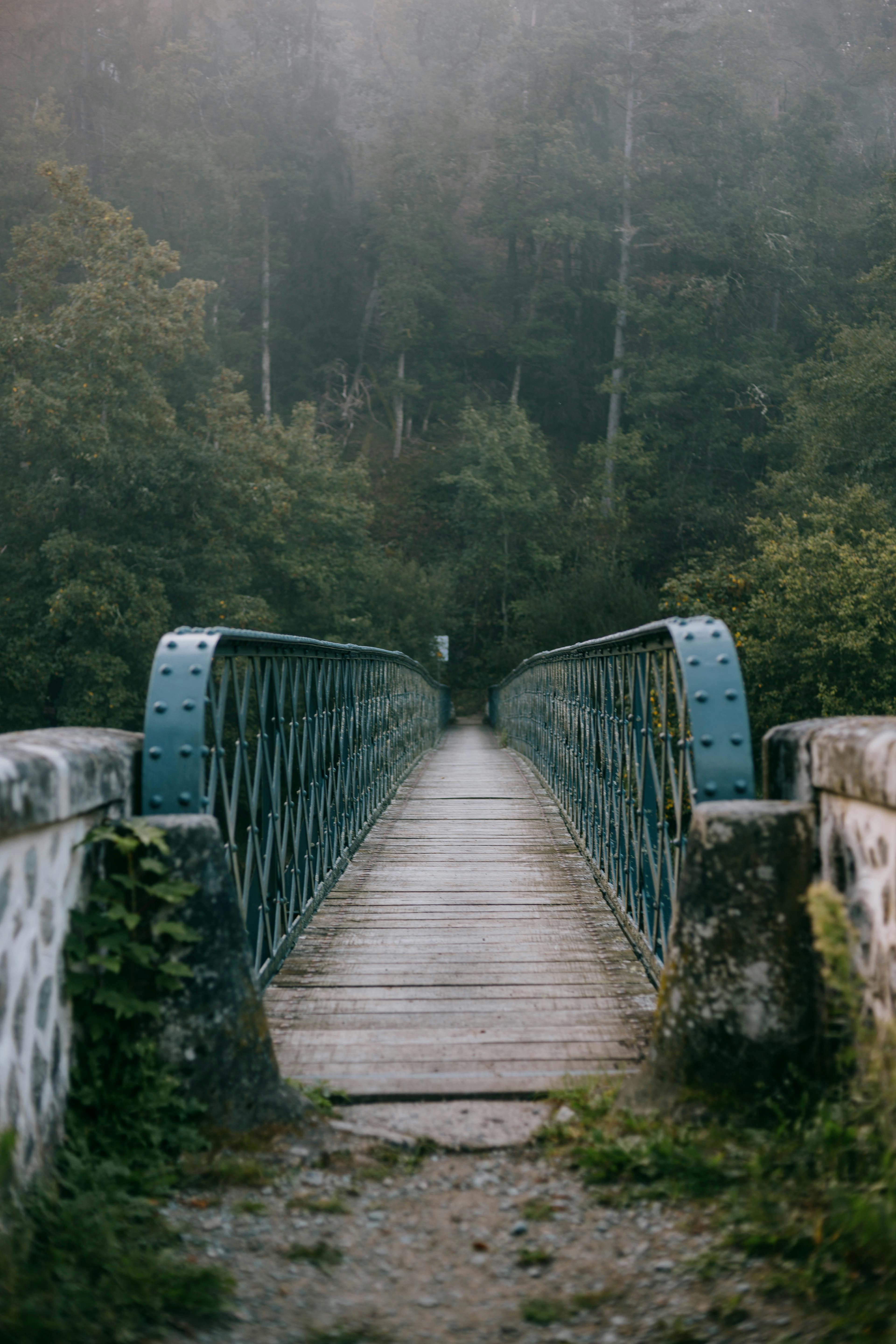 A serene view of a foggy wooden pedestrian bridge in the lush forests of Les Ancizes-Comps, France.