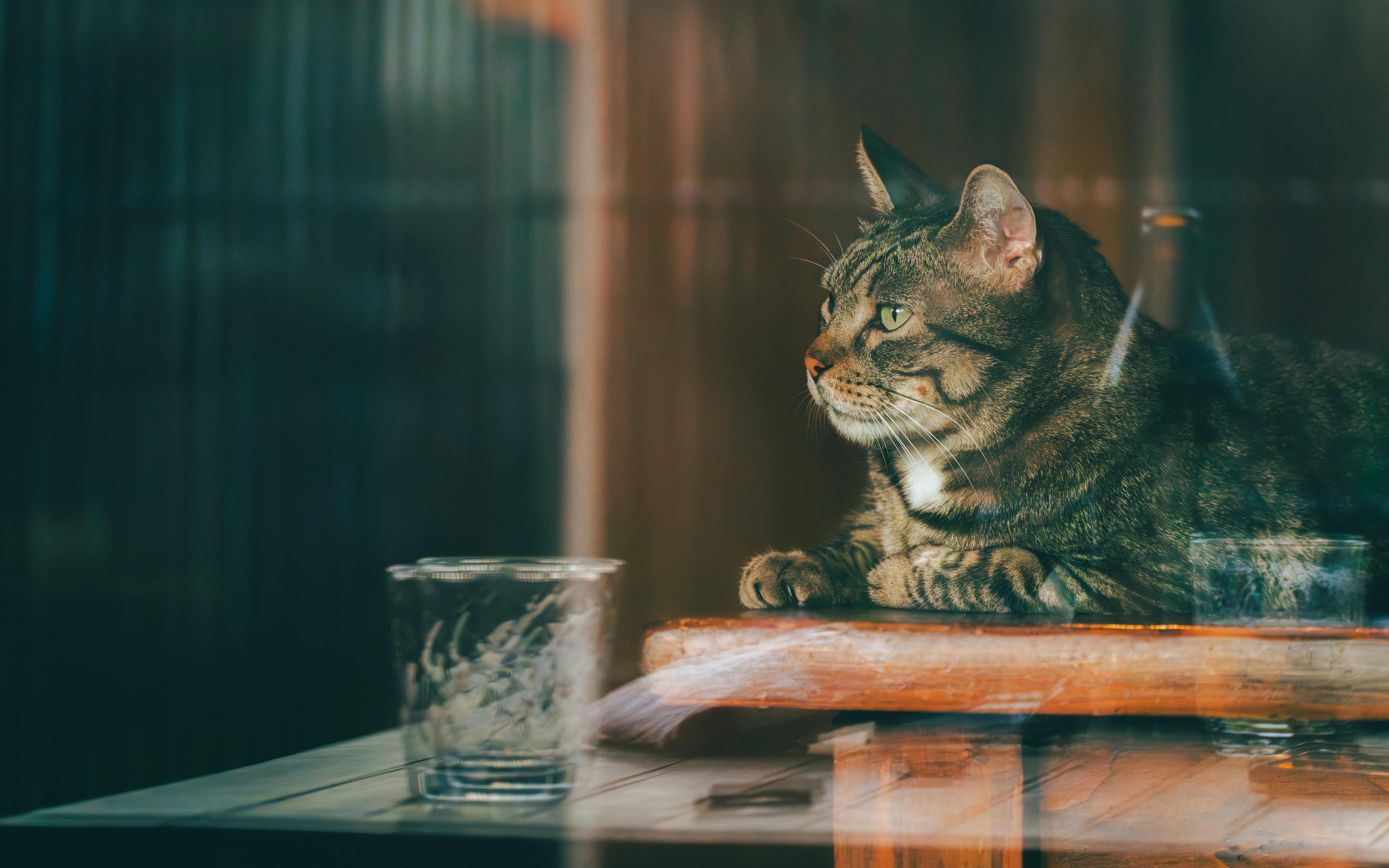 Unlock the Secret to Ultimate Relaxation