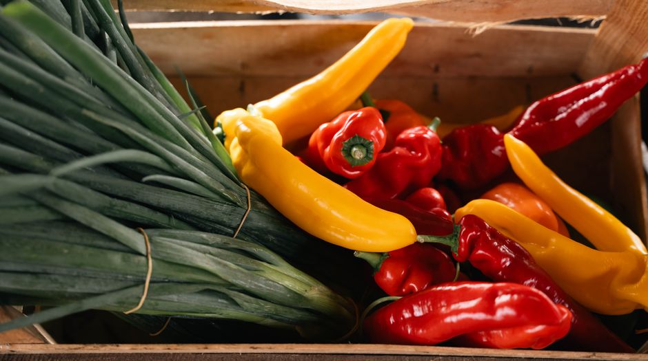 How Children and Teens Can Transition to Vegetarian Eating the Healthy Way