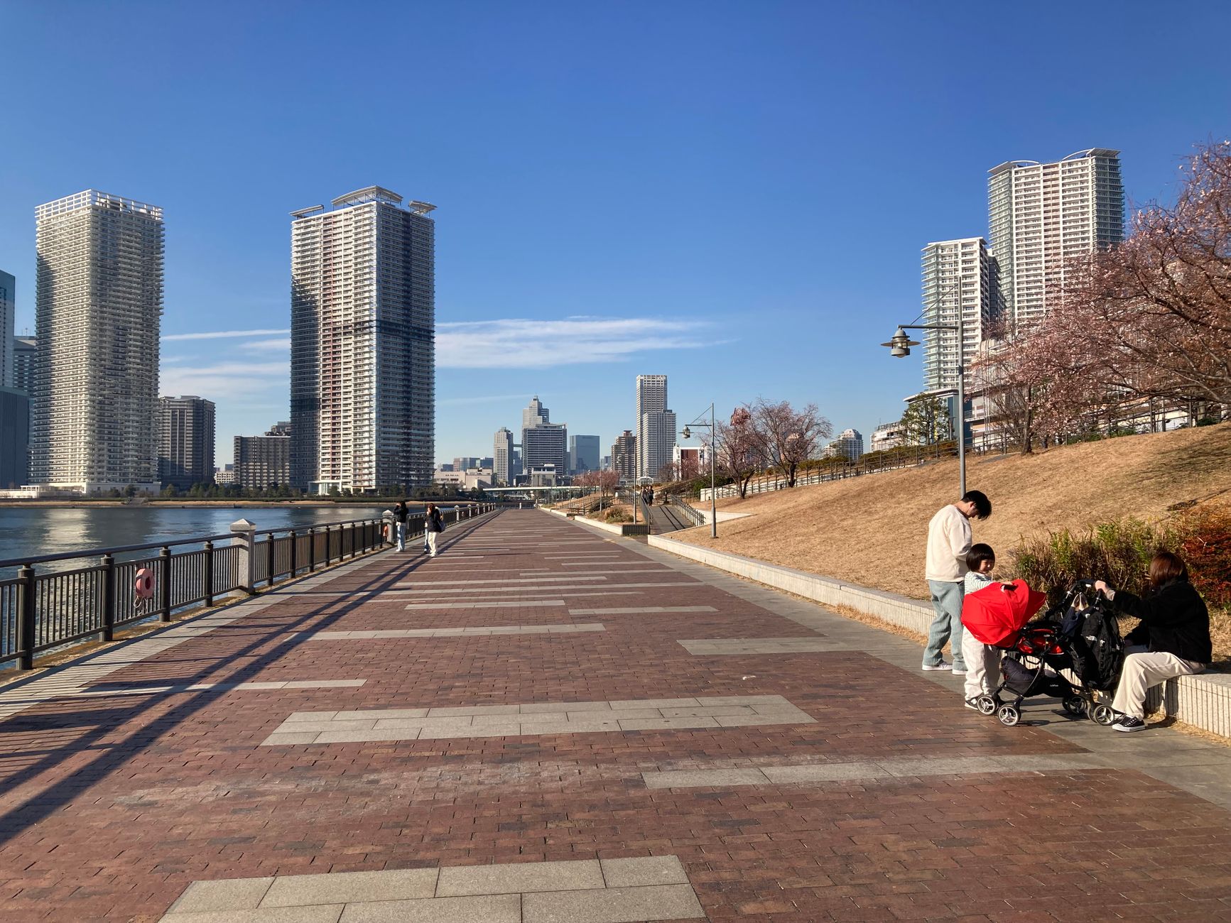 東京で景色や散歩を楽しみたい人向けの海スポット