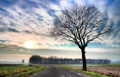 Bur Sky Photos, Download The BEST Free Bur Sky Stock Photos & HD Images Bur Sky Photos, Download The BEST Free Bur Sky Stock Photos & HD Images