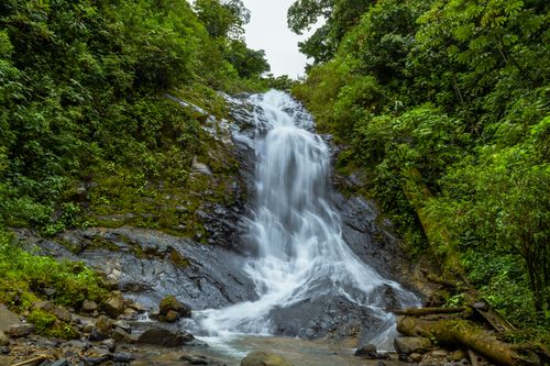 Free Lush green rainforest encircling a cascading waterfall in Costa Rica, perfect for nature lovers. Stock Photo