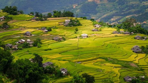 Free Breathtaking view of rice terraces and traditional homes in Hà Giang, Vietnam. Stock Photo