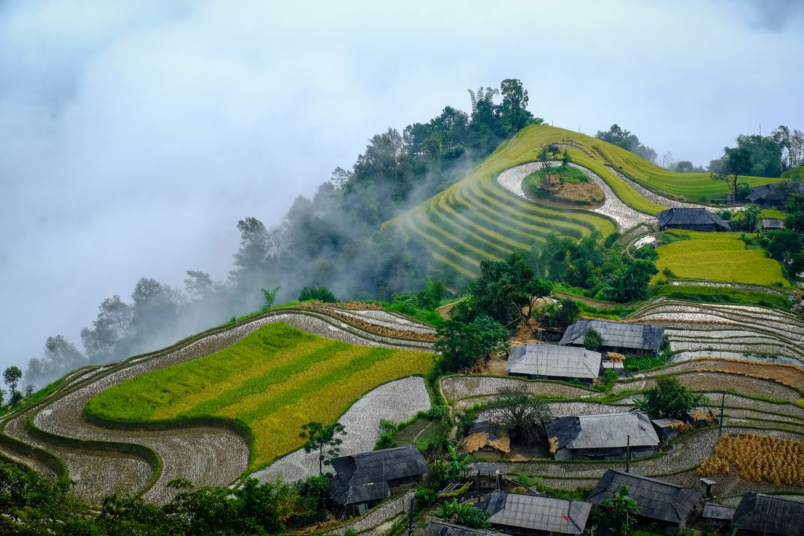 Stunning Rice Terraces in Hà Giang, Vietnam · Free Stock Photo