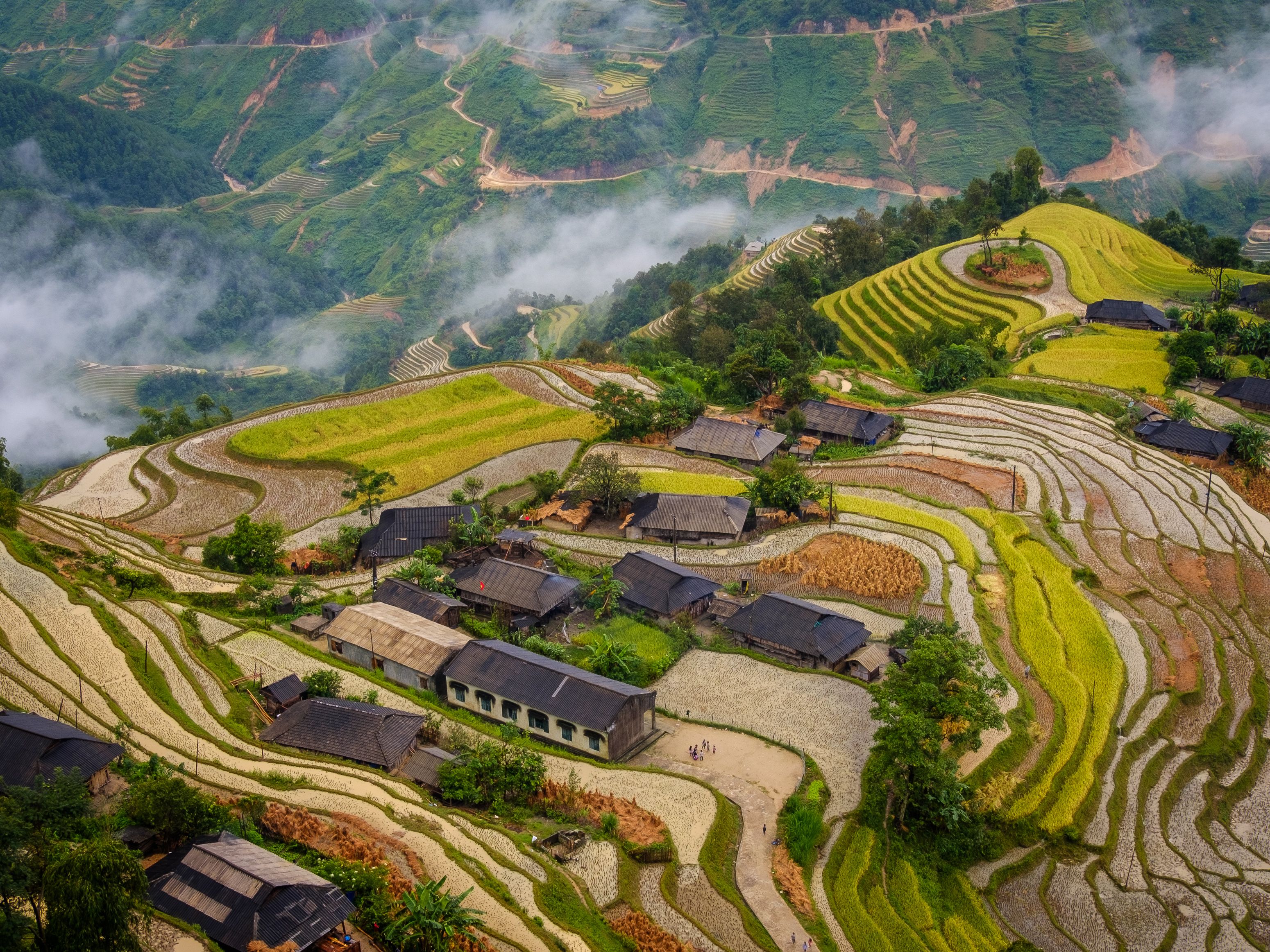 Stunning Rice Terraces in Hà Giang, Vietnam · Free Stock Photo