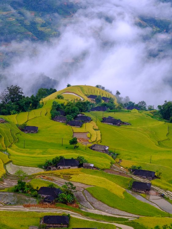 Lush Rice Terraces in Hà Giang, Vietnam · Free Stock Photo