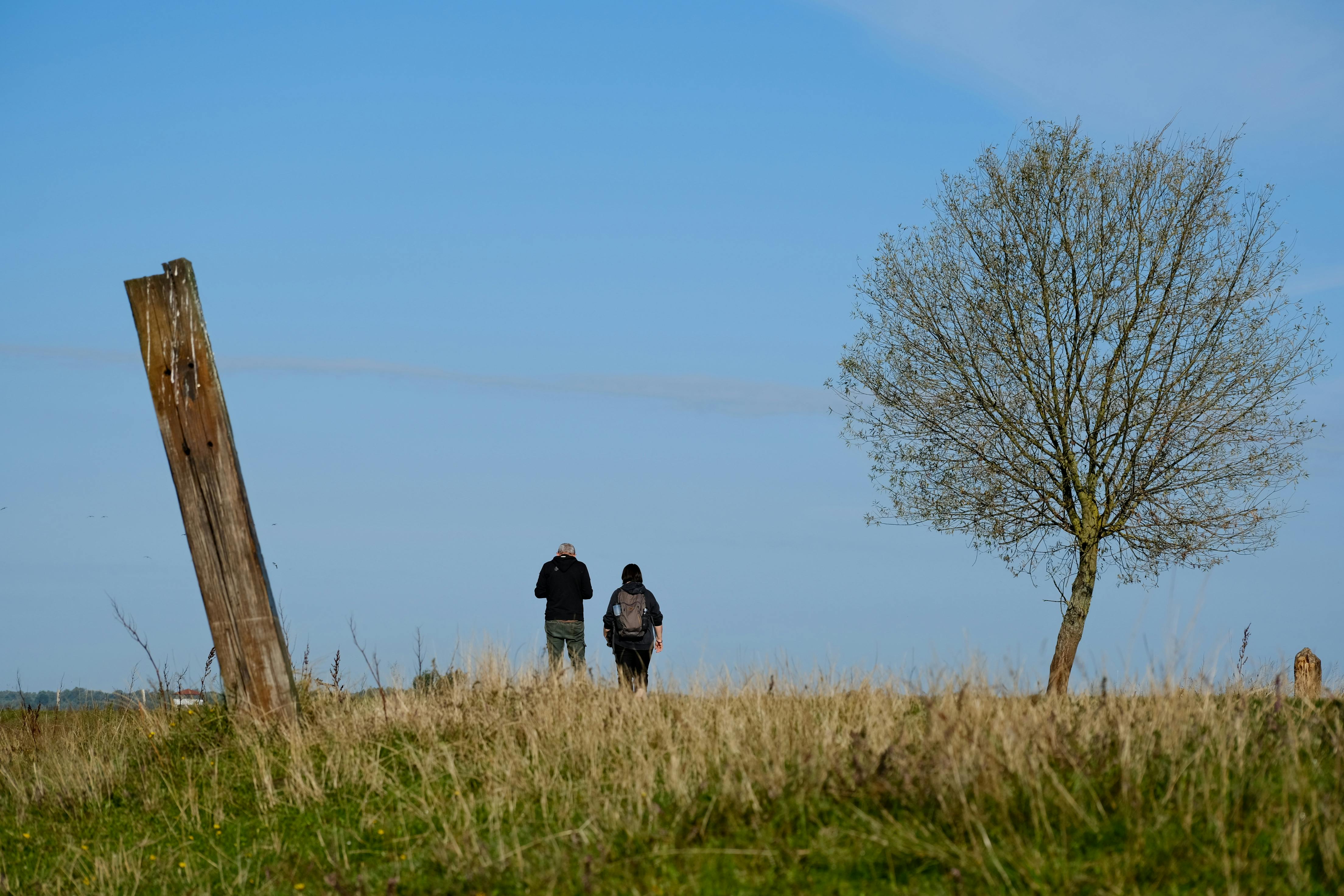 Two individuals enjoy a peaceful walk in a grassy field under a clear blue sky.