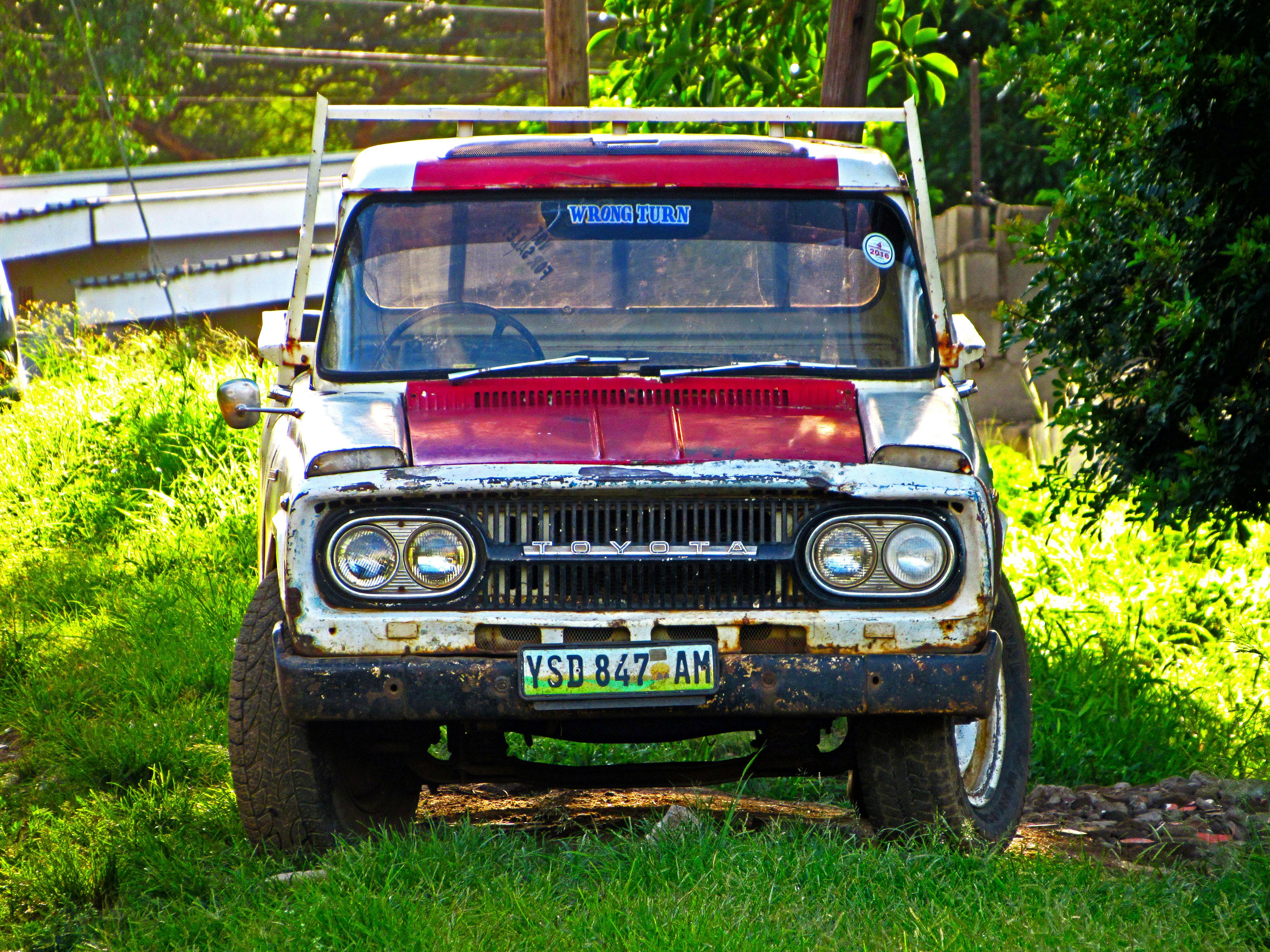 마이애미 리틀하이티