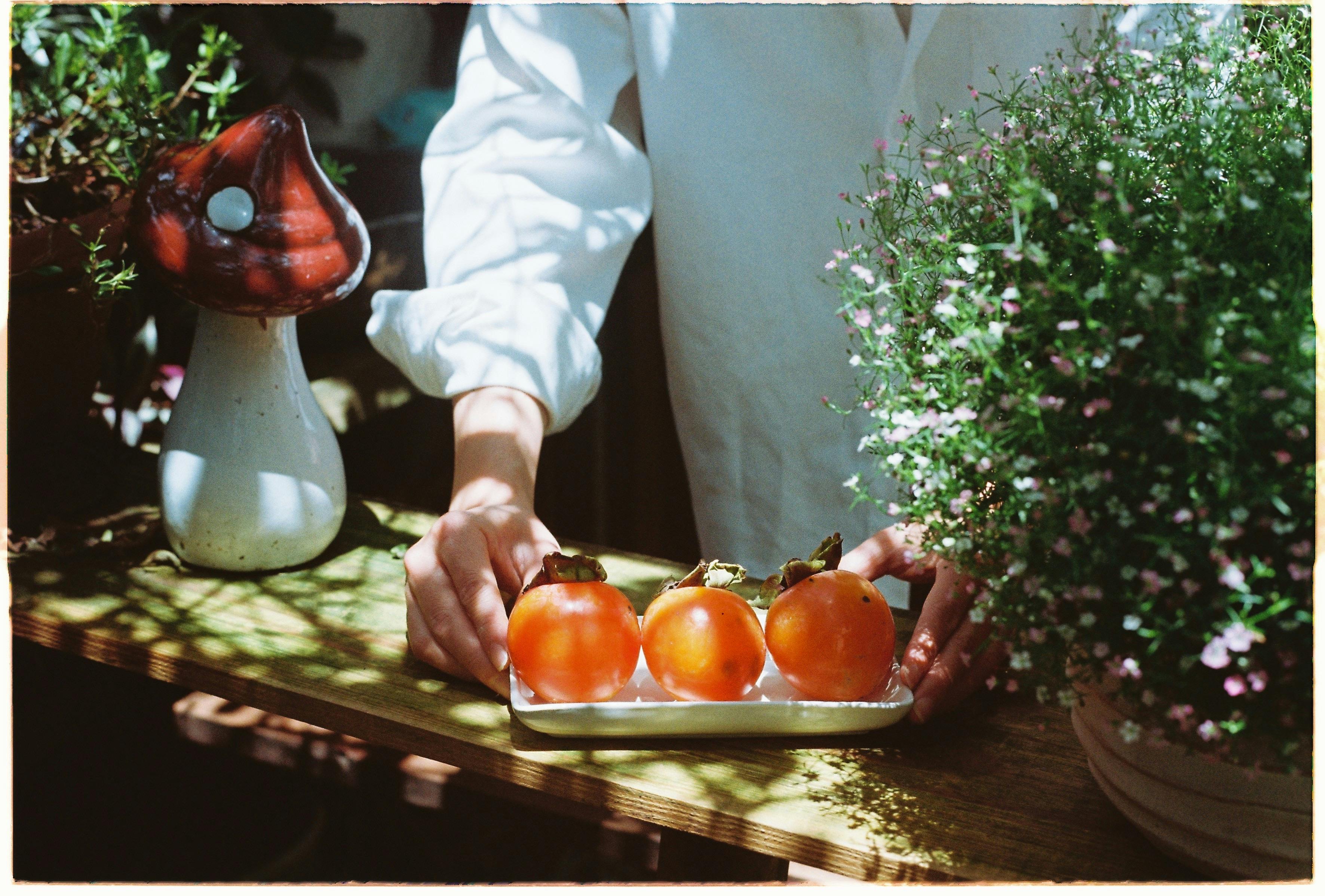 Horticultura Doméstica: Beneficios Integrales para la Salud, Sostenibilidad y Bienestar