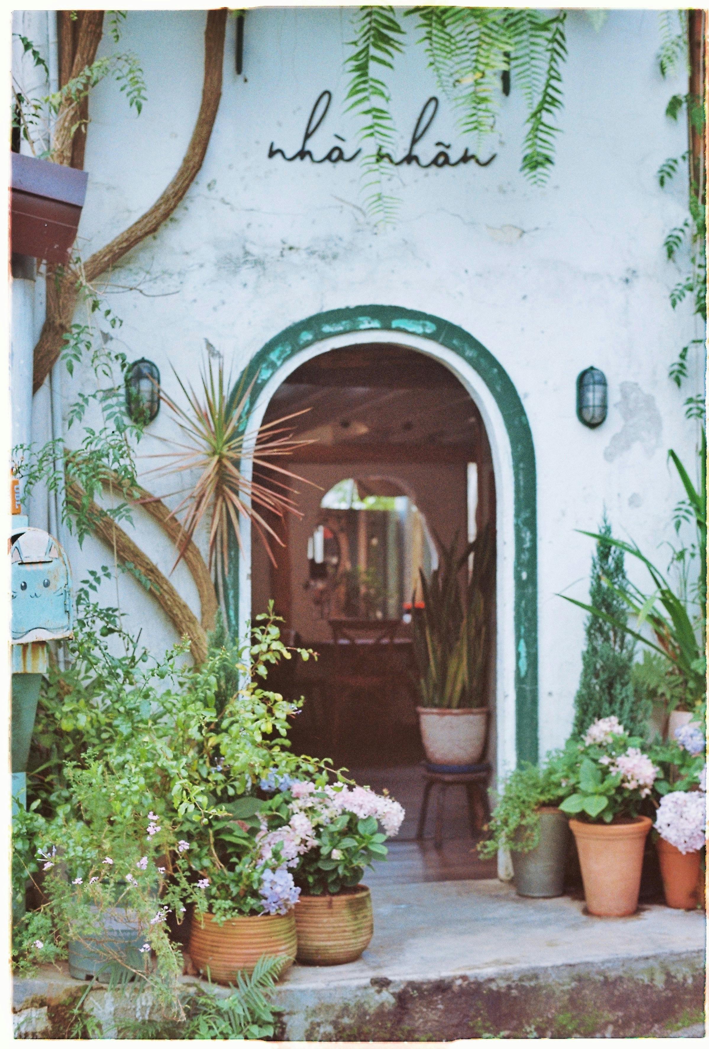 Vintage café entrance adorned with greenery and blooming plants in terracotta pots.