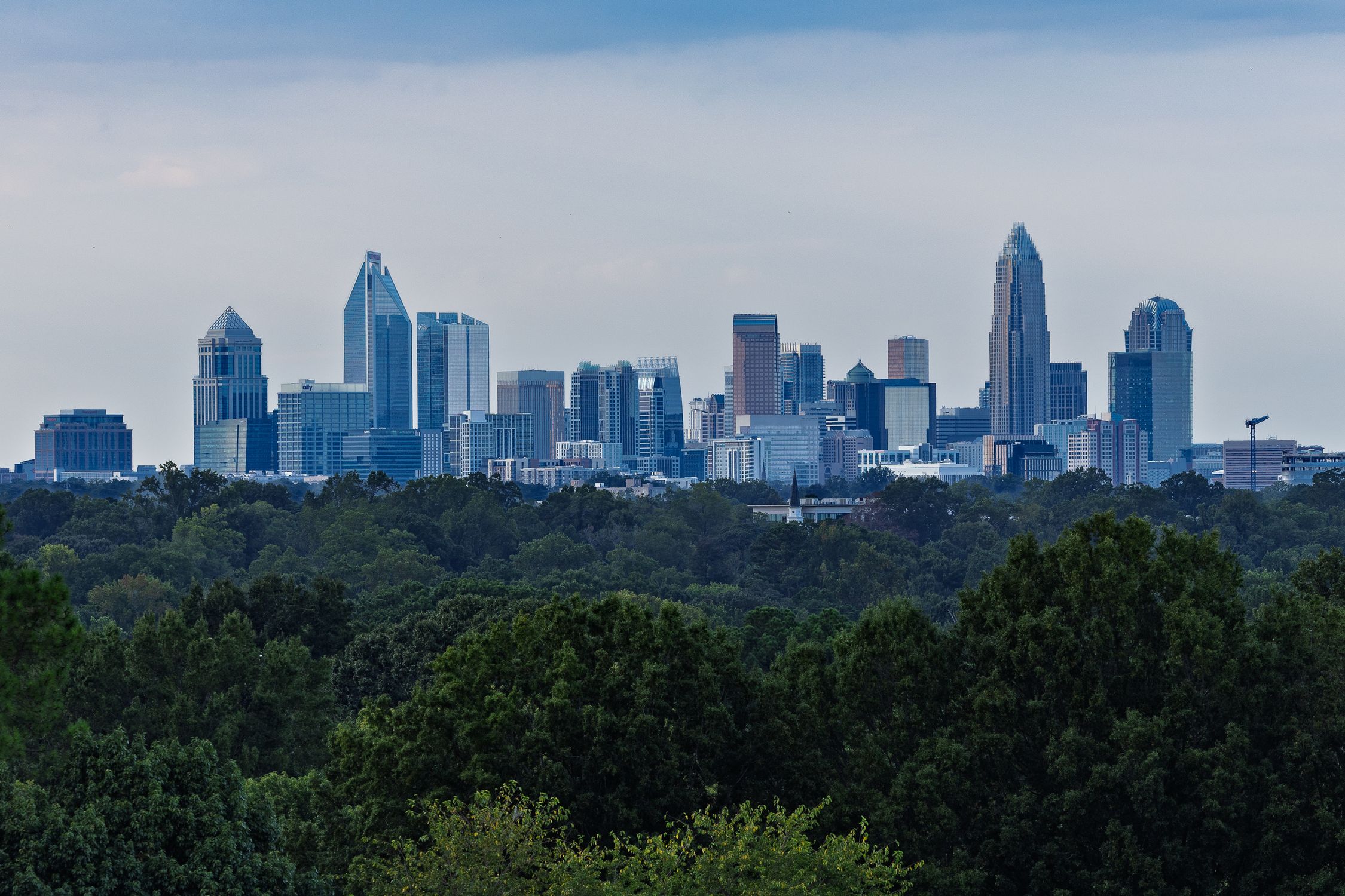 Skyline of Charlotte, NC, featuring modern skyscrapers and lush greenery under a moody sky.