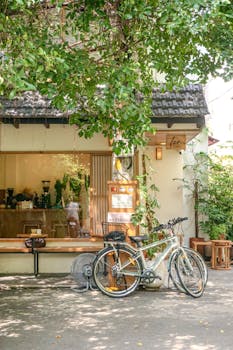 A serene cafe entrance in Ho Chi Minh City, with bicycles parked by a sunlit tree.
