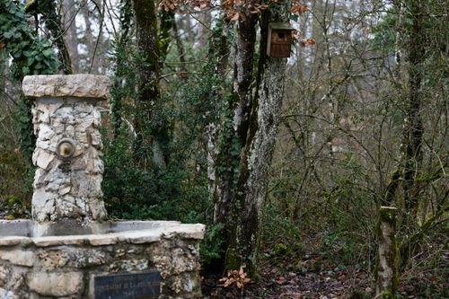 Free A rustic stone fountain surrounded by lush greenery in a peaceful woodland setting, creating a tranquil outdoor scene. Stock Photo