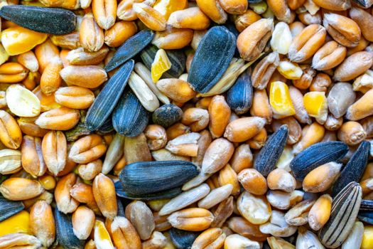 Original Seed Blend — kidney-friendly food
