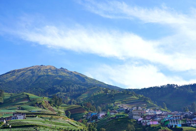 Dieng plateau destinasi coolcation Indonesia terasering