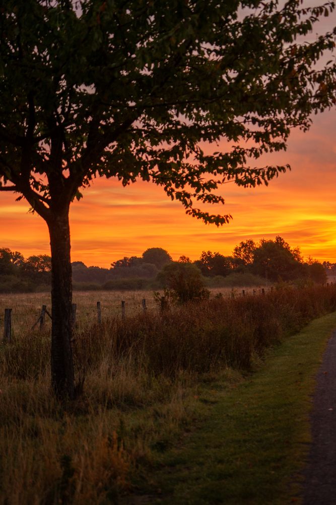 Sunset In Countryside Photos, Download The BEST Free Sunset In ...