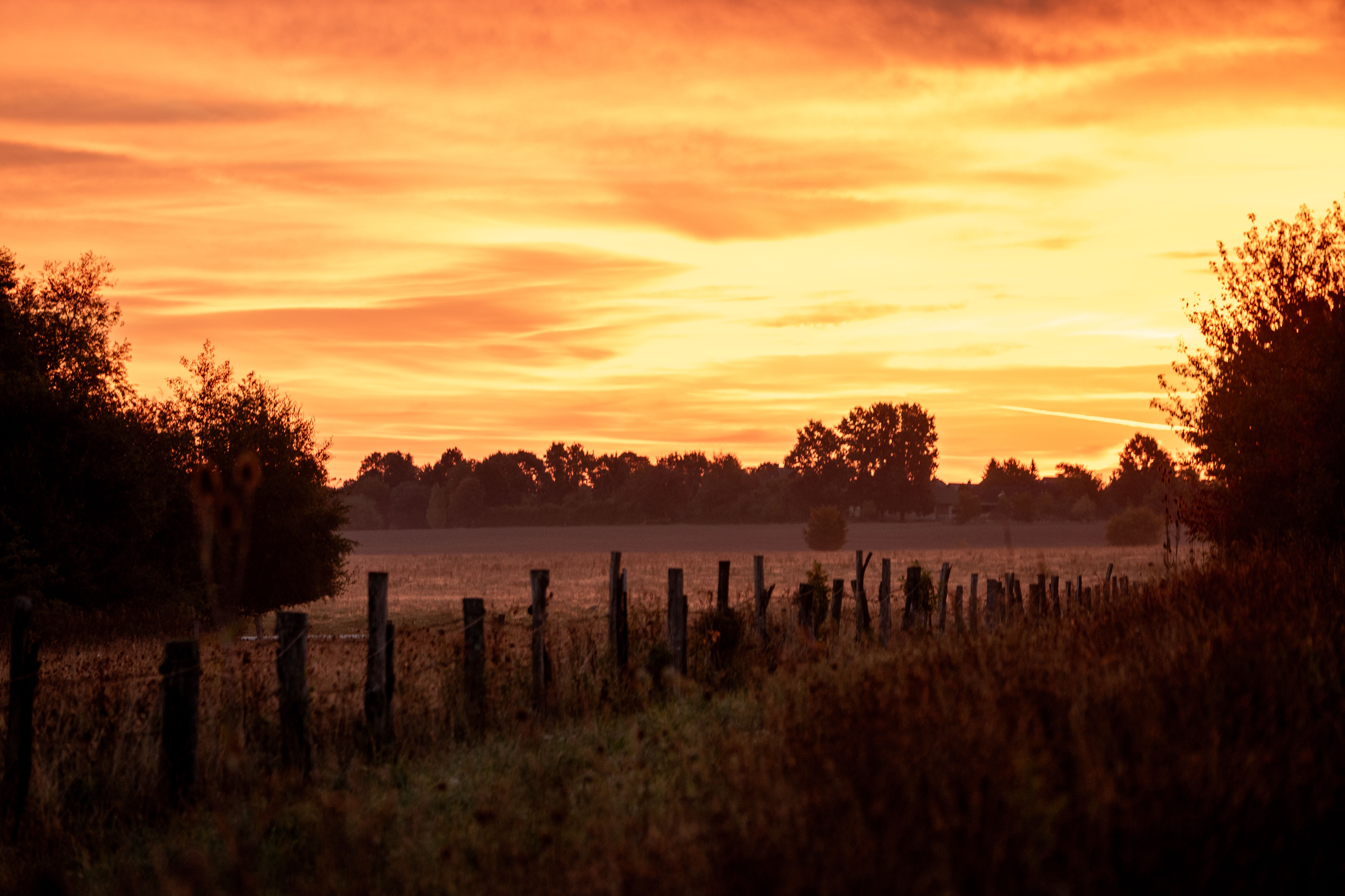 magnifique-coucher-de-soleil-sur-la-campagne-de-bielefeld-photo-gratuite