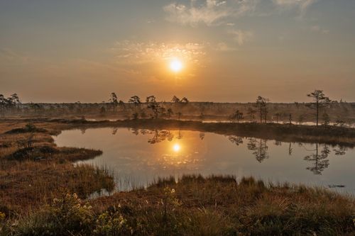 Free A tranquil sunrise reflecting over a misty marshland, capturing nature's serene beauty. Stock Photo