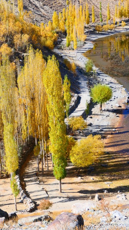 Free Golden Autumn along the Gizer River, Gilgit-Baltistan Stock Photo