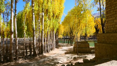 Free Phander Valley's Autumn Glow Stock Photo